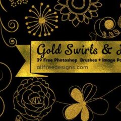 39 Swirls and Flowers Clip Art Photoshop Brushes + PNG Image Pack
