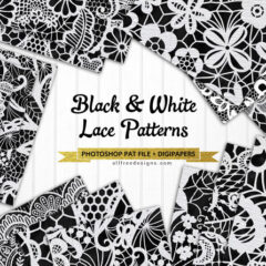 12 Beautiful Lace Patterns in Black and White
