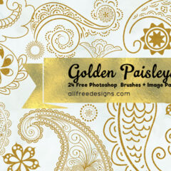 24 Paisley Design Photoshop Brushes + PNG Image Pack