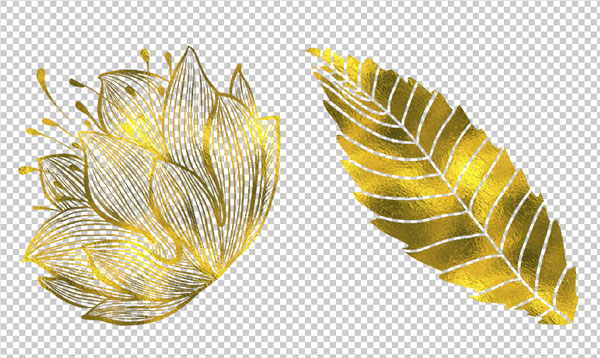 transparent flower and leaf in gold