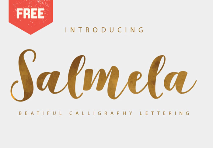 Free Feminine Fonts: 12 of the Best Typefaces for Your Designs