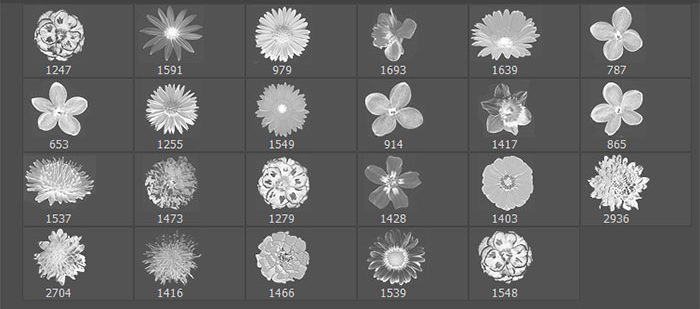 realistic flower brushes