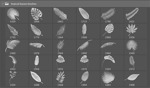 tropical leaves brushes