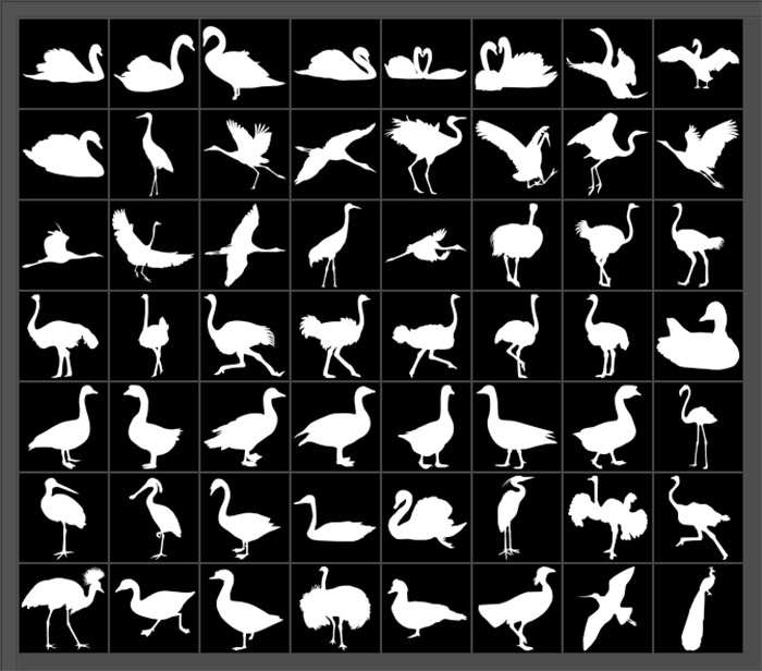 bird silhouette shapes
