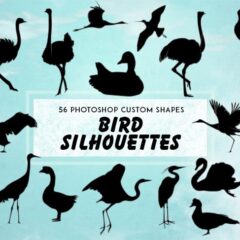 56 Useful Bird Silhouette Shapes for Photoshop to Collect Now
