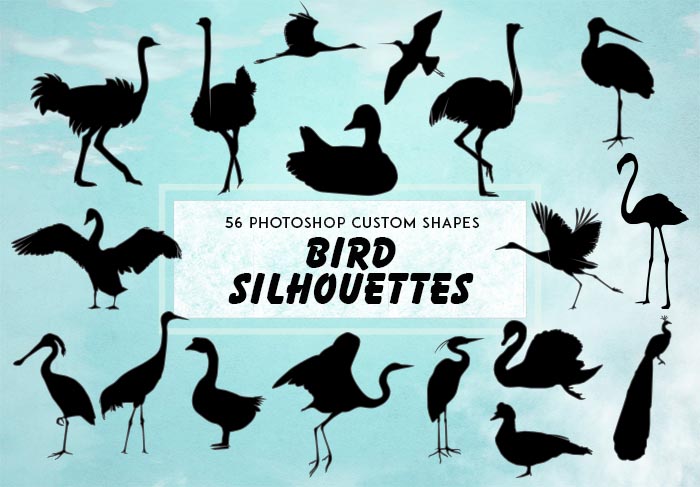 bird silhouette shapes
