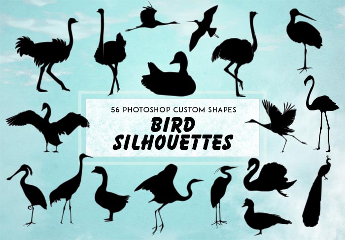 download a bird shape photoshop