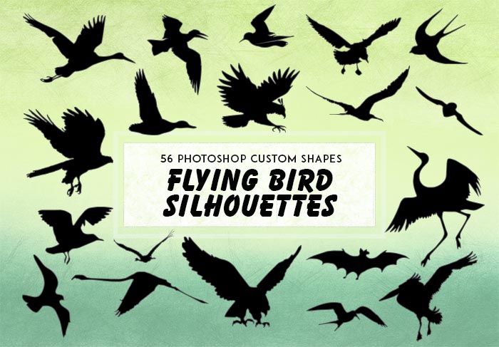 flying bird silhouettes