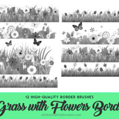 Grass Flower Borders: 14 PS Brushes for Spring and Summer