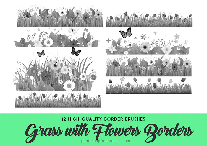 grass flower borders