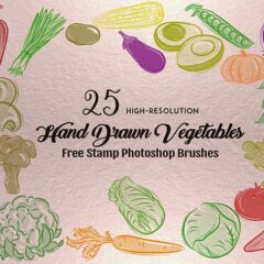 Design Delightful Menus and Recipe Cards with our Hand-Drawn Vegetable Brushes