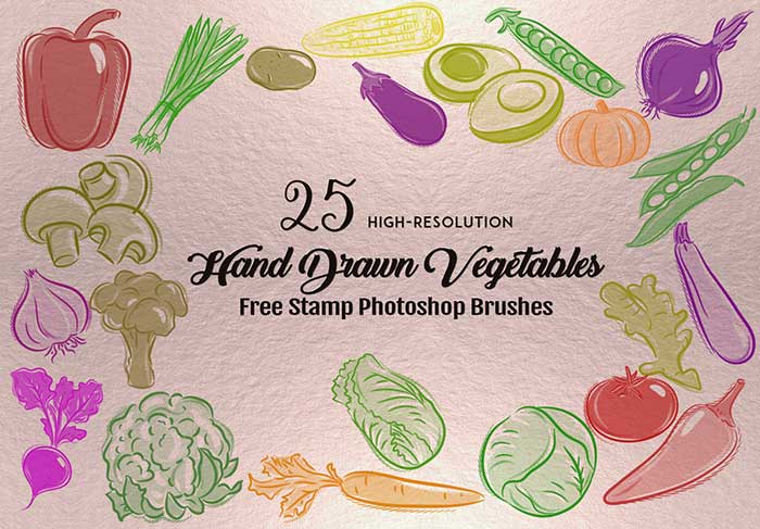 hand drawn vegetables