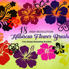 Hibiscus Flower Brushes: 20 Hand Drawn Designs for Summer