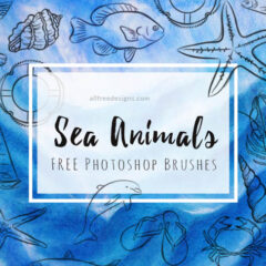 18 Outlined Sea Animal Clip Art Brushes Plus Summer-Themed Images