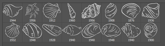 seashell photoshop brushes preview