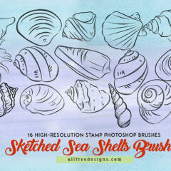 Seashell Photoshop Brushes: 16 Sketched Designs to Collect