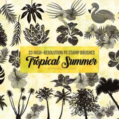 Tropical Summer Clip Art Images: 33 High-Res PS Brushes