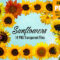 14 Sunflower Clip Art Images to Brighten Your Summer Days