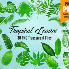 Enjoy Tropical Paradise with Our Free Tropical Leaves Clip Art