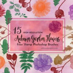 Celebrate the Beauty of Autumn Blooms with Our Autumn Garden Flowers Brushes