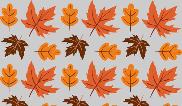 autumn nature patterns