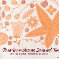 Autumn Sketched Flowers: 26 Free Photoshop Brushes