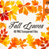 Embrace the Beauty of Autumn with 40 Watercolor Fall Leaves Clip Art