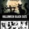 Scary Halloween Cats Brushes: 24 Free High Quality Stamp Images