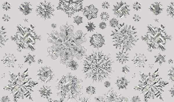 silver snowflakes patterns