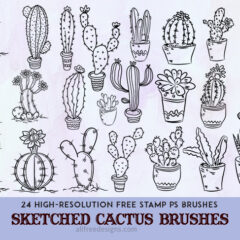 Get That Desert Vibes with Sketched Cactus Brushes
