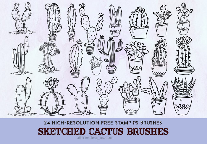 sketched cactus brushes preview