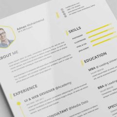 40 Resume Template Designs in Editable Formats