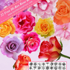 22 Free Beautiful Rose Photoshop Brushes